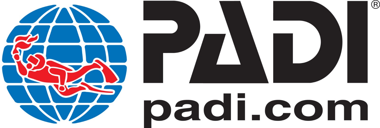 Padi